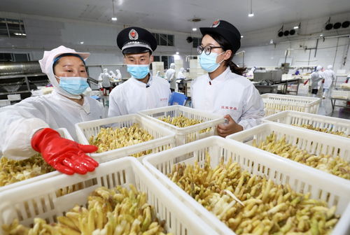 网络销售特殊食品安全合规指南 发布 指引特殊食品销售规范发展