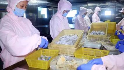 粉丝福利:半岛味道送你一份海鲜礼包,满满的象山味!