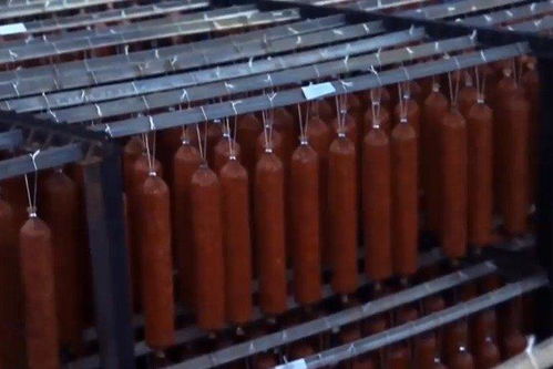 实拍美国食品厂,猪肉塞到机器里,不一会烤肠就出来了